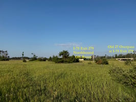 24598202
