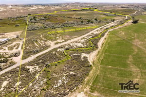 24603162