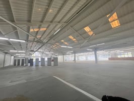 24605482