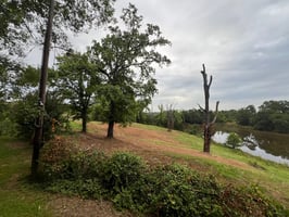 24608851