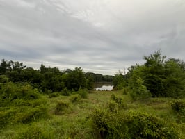 24608870