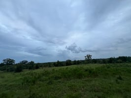 24608856