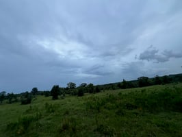 24608873