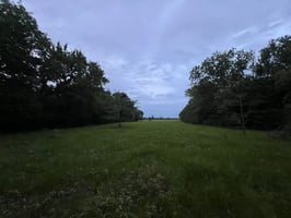 24608847