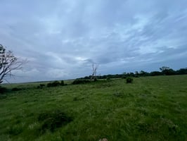 24608849