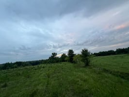 24608855