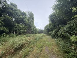 24610513