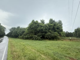 24610509