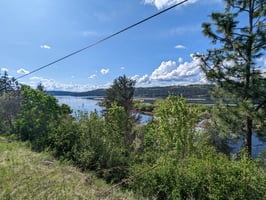 24611732