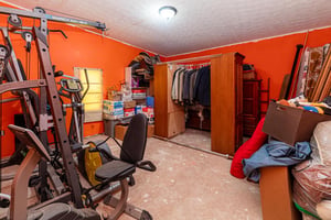 24620362