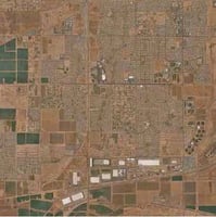 24620443