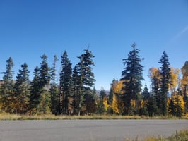 24625840