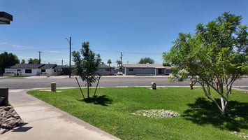 24630638