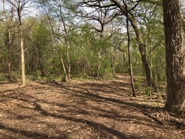 24643984