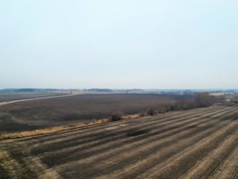 24644035