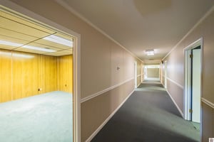 24645296