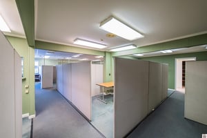 24645276