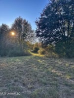 24645684