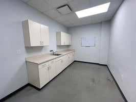29497645