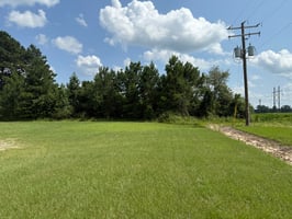 24652277