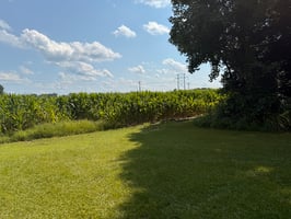 24652279
