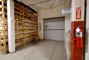 24652981