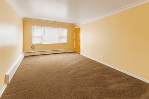 24653777