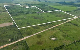 24654706