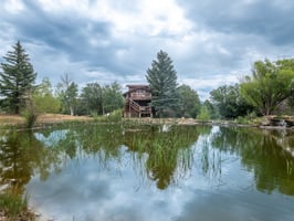 24932638