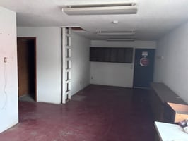 24659782