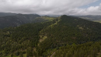 24671069