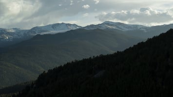 24671593