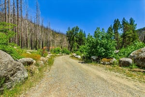 24672750