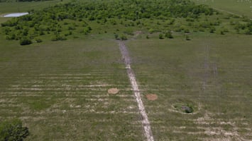 24677571