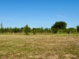 24685065