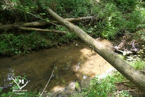 33992890