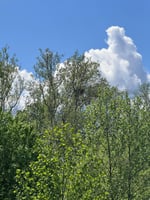 24691682