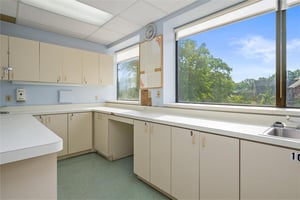 24697141