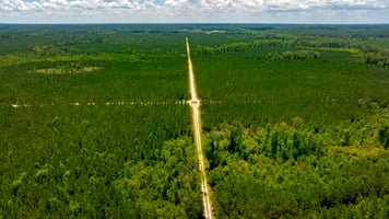 24700756