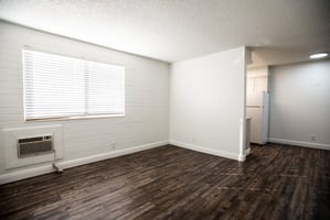 24703394