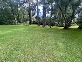 24707846