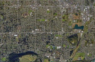 24720558