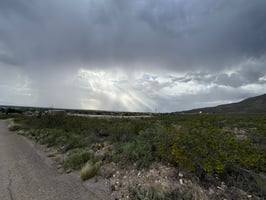 24943541