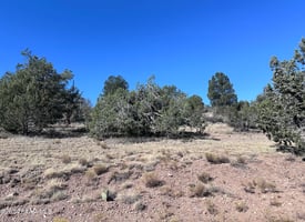 24787698