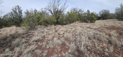 24787746