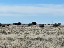24787797