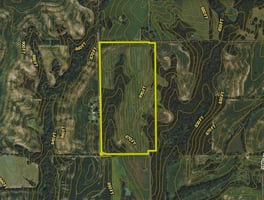 28156546