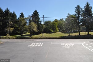 24800749