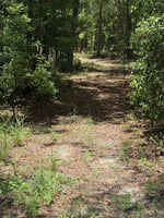 24803979