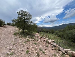 24804268
